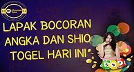 Bocoran Shio Togel Sdy Hari Ini