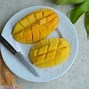 Mangga Thailand Namanya Apa